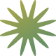 vector 5